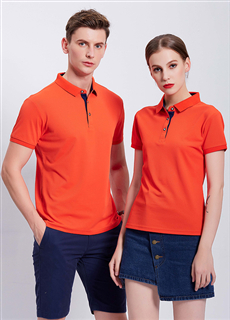 ����polo���������Ļ������V����XH9017